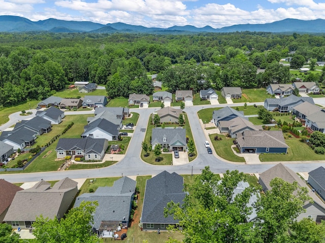 234 Page Creek Blvd, Landrum, SC 29356 - aerial view of residential area with a mountainous background