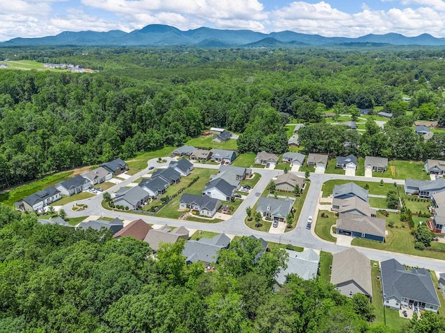234 Page Creek Blvd, Landrum, SC 29356 - aerial perspective of suburban area with a mountainous background