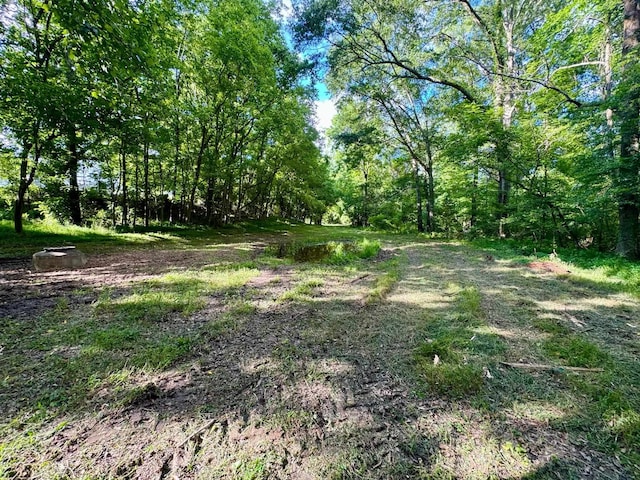 0 Springs St, Buffalo, SC 29321 - photo 10
