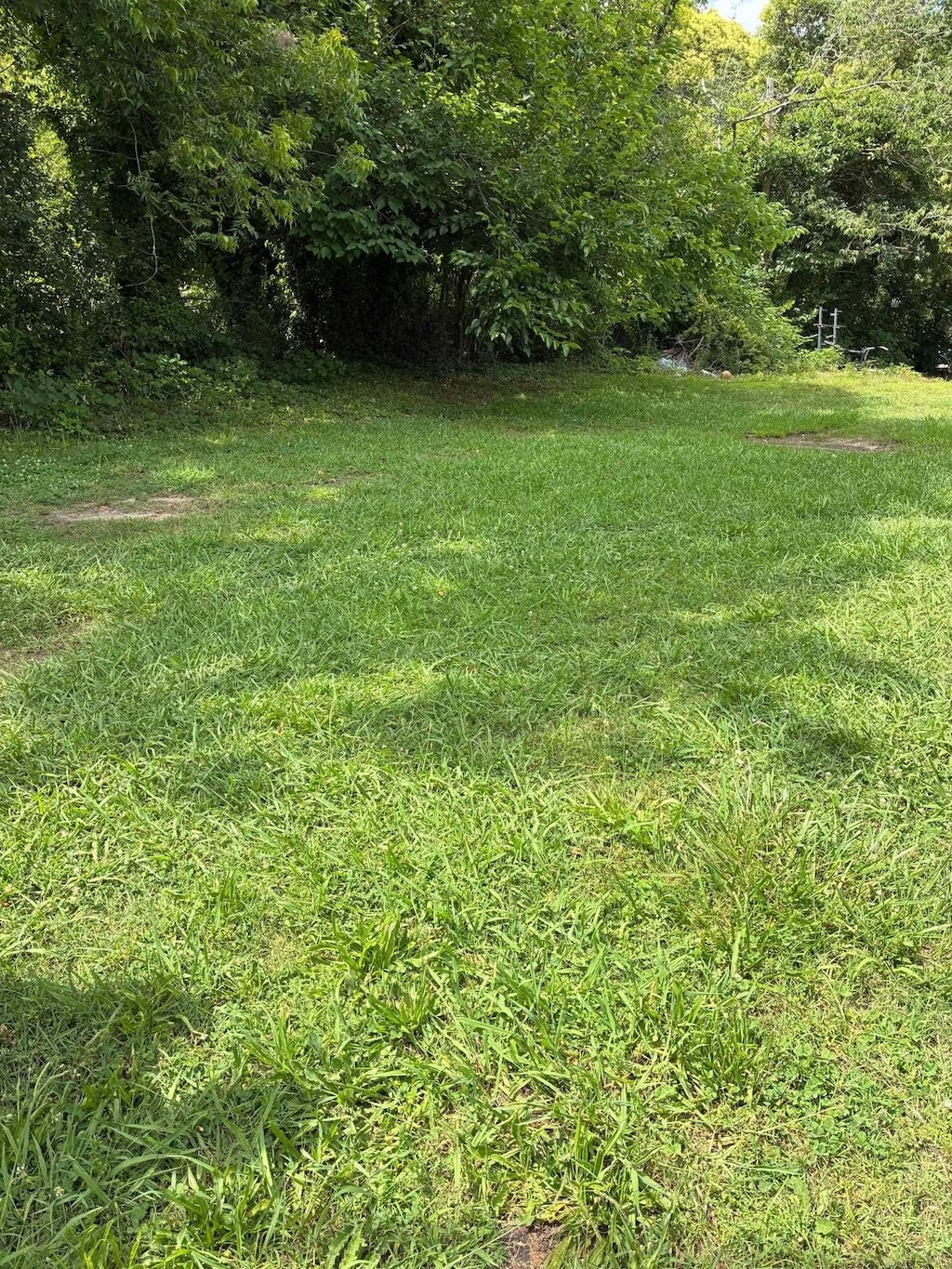836 Tweed St, Spartanburg, SC 29301 - photo 1