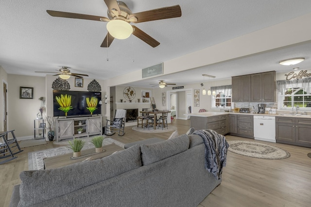 208 Kenneth Dr, Boiling Springs, SC 29316 - living room featuring light wood-style flooring, a ceiling fan, and a textured ceiling
