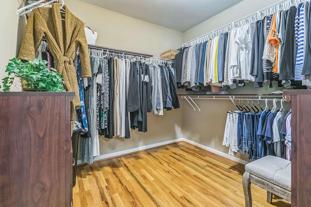 31 Goodwin Farms Ct, Travelers Rest, SC 29690 - walk in closet featuring wood finished floors