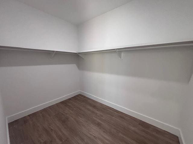 451 Park St, Inman, SC 29349 - walk in closet with dark wood finished floors