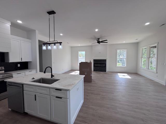 451 Park St, Inman, SC 29349 - kitchen with dishwashing machine, stainless steel electric range, healthy amount of natural light, ceiling fan, and recessed lighting