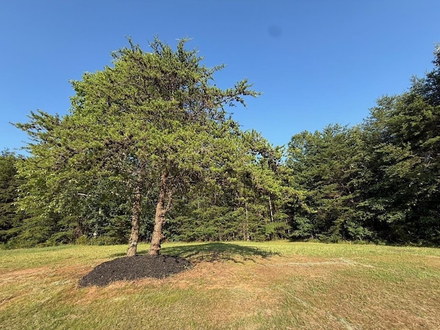 340 Hyder Rd, Inman, SC 29349 - photo 8
