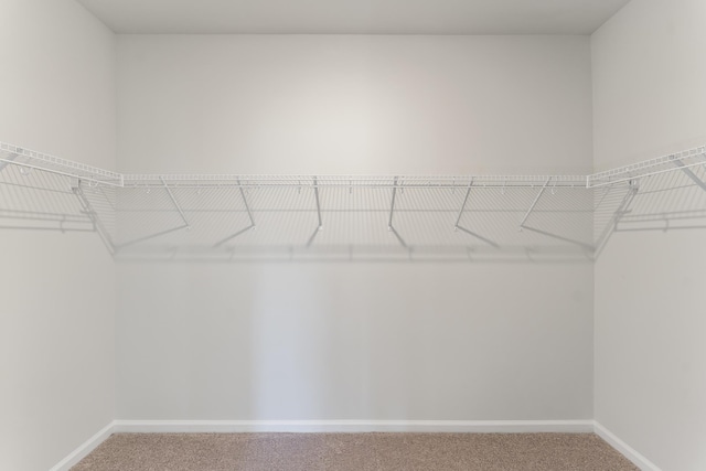 1465 Macedonia Rd, Gaffney, SC 29341 - walk in closet with carpet floors