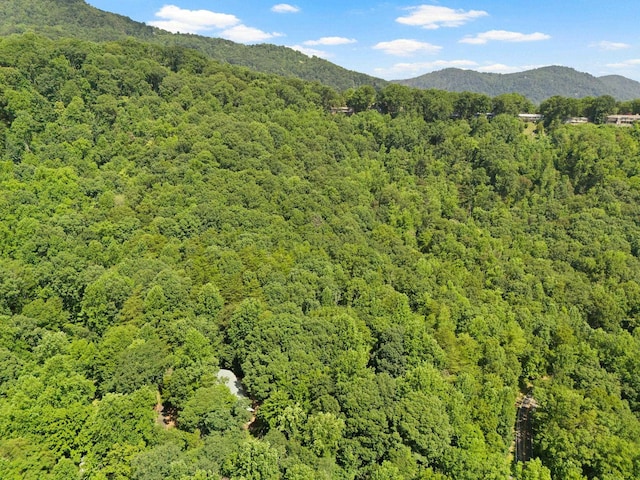 56 Cardinal Cir, Tryon, NC 28782 - view of mountain background featuring a heavily wooded area