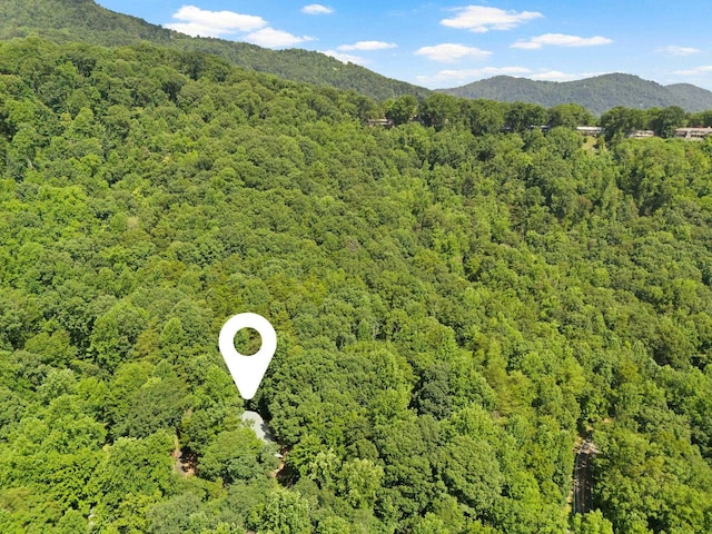 56 Cardinal Cir, Tryon, NC 28782 - mountain view with a heavily wooded area