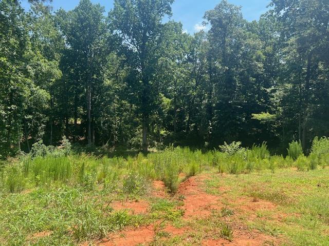 212 Farmington Ct, Moore, SC 29369 - photo 1