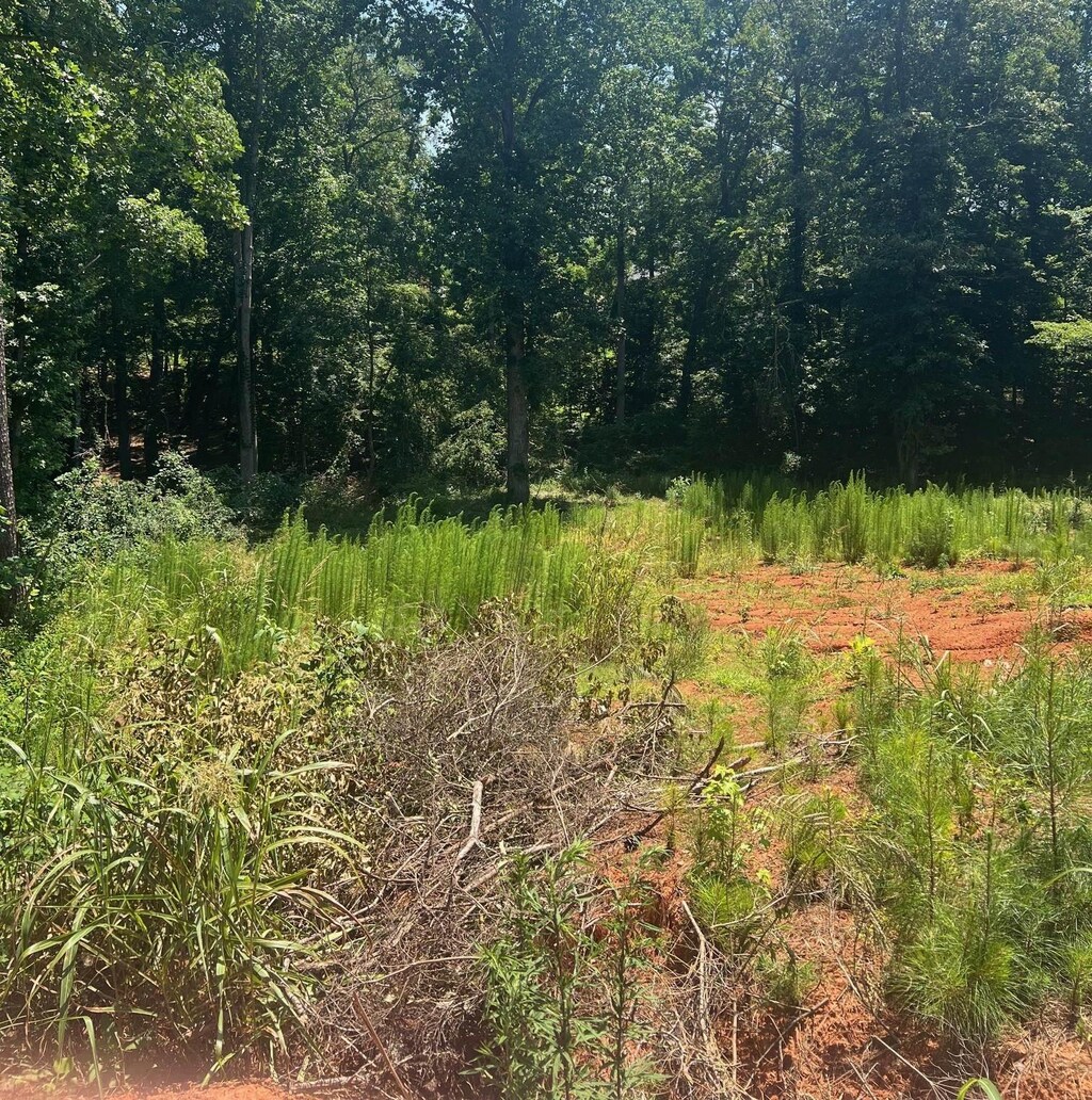 212 Farmington Ct, Moore, SC 29369 - photo 2