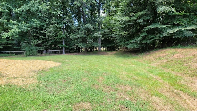 183 Boxwood Ln, Spartanburg, SC 29307 - photo 23