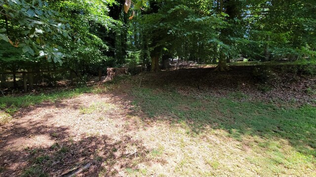 183 Boxwood Ln, Spartanburg, SC 29307 - photo 29