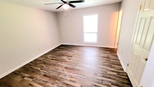 183 Boxwood Ln, Spartanburg, SC 29307 - photo 12