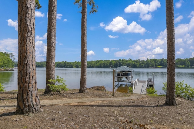 346 Bub Dr, Chesnee, SC 29323 - dock area with boat lift, a water view, and a view of trees