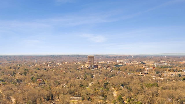 306 Fernwood Dr, Spartanburg, SC 29307 - aerial view of property's location