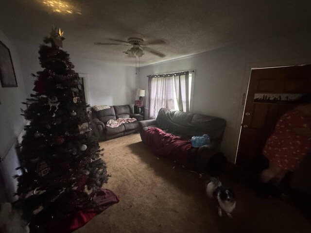 2959 Chesnee Hwy, Spartanburg, SC 29307 - photo 3
