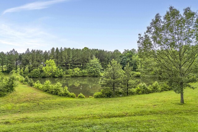 1527 S Blackstock Rd, Landrum, SC 29356 - photo 24