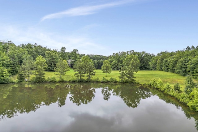 1527 S Blackstock Rd, Landrum, SC 29356 - photo 25
