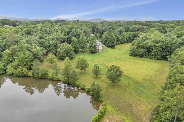 1527 S Blackstock Rd, Landrum, SC 29356 - photo 30