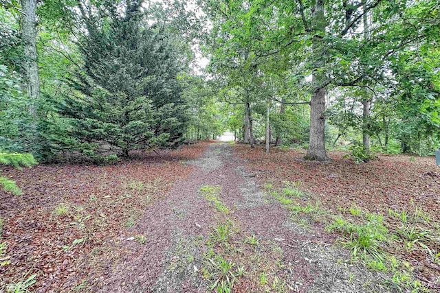 1527 S Blackstock Rd, Landrum, SC 29356 - photo 34