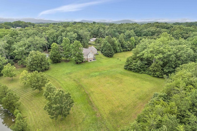 1527 S Blackstock Rd, Landrum, SC 29356 - photo 35