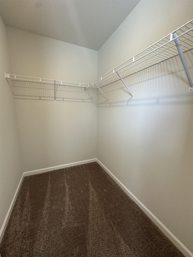 101 Deno Dr, Gaffney, SC 29341 - walk in closet featuring carpet flooring