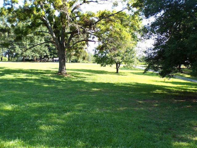 750 Mason Rd, Chesnee, SC 29323 - photo 23