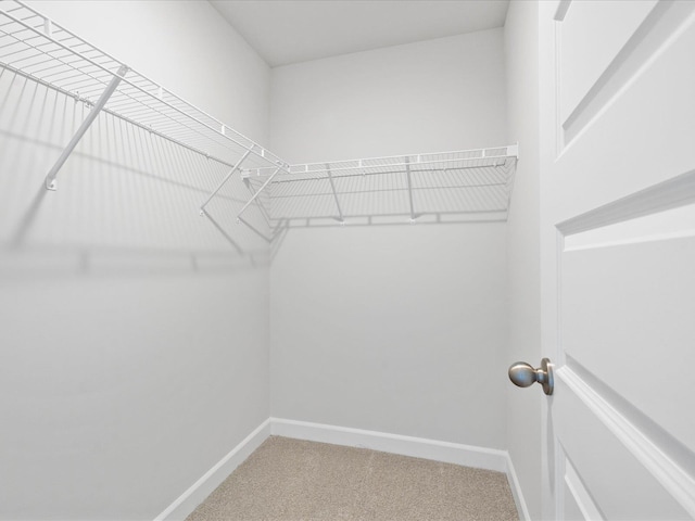 229 Cupid Ct, Greer, SC 29651 - photo 13