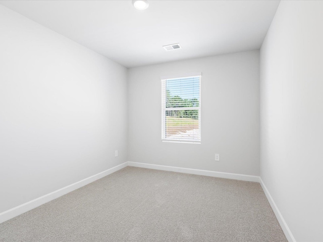 229 Cupid Ct, Greer, SC 29651 - photo 14