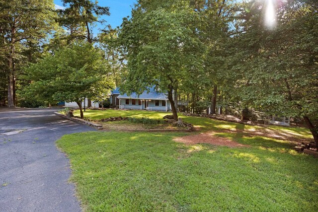 1215 Buck Creek Rd, Chesnee, SC 29323 - photo 4