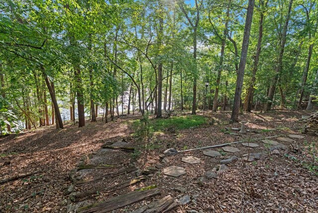 1215 Buck Creek Rd, Chesnee, SC 29323 - photo 30