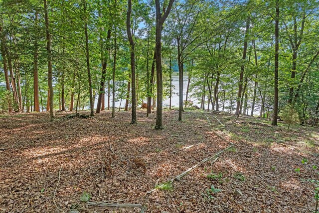 1215 Buck Creek Rd, Chesnee, SC 29323 - photo 31