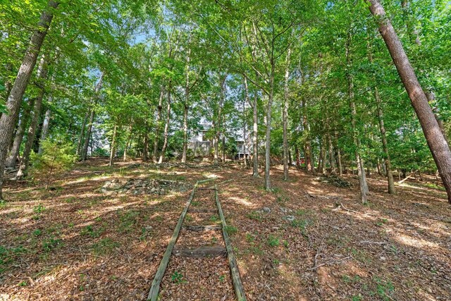 1215 Buck Creek Rd, Chesnee, SC 29323 - photo 32