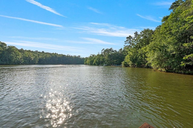 1215 Buck Creek Rd, Chesnee, SC 29323 - photo 33