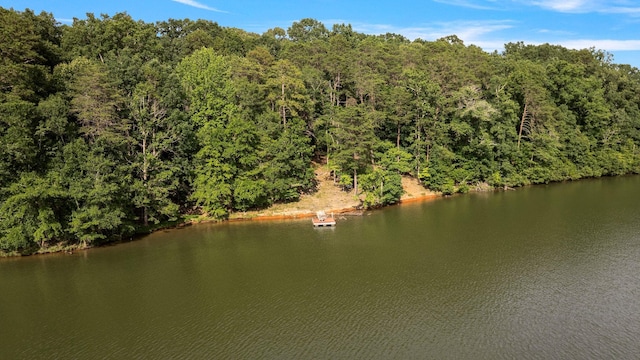 1215 Buck Creek Rd, Chesnee, SC 29323 - photo 3