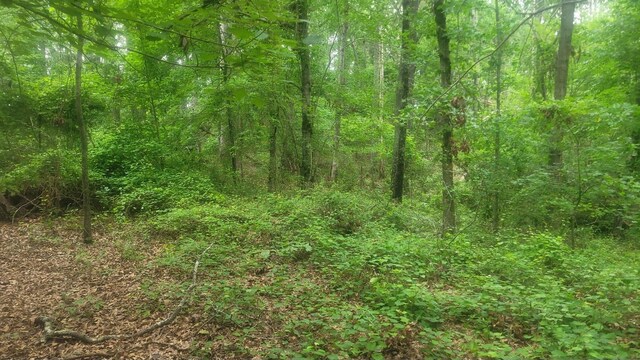 1429 Casey Creek Rd, Chesnee, SC 29323 - photo 4