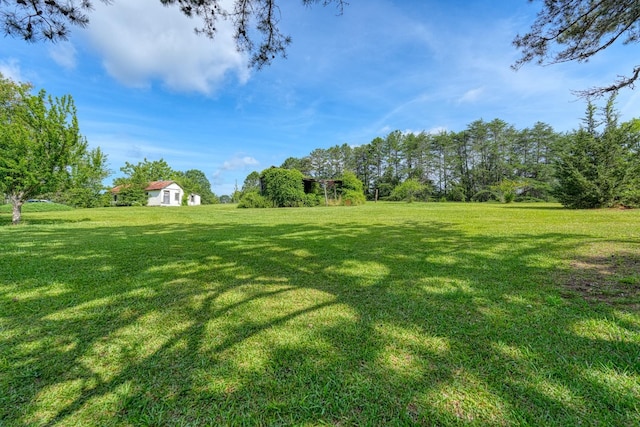 160 Bill Roberson Rd, Enoree, SC 29335 - photo 25