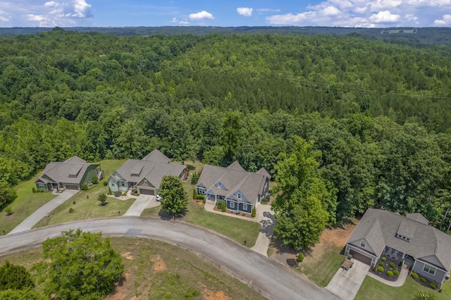 813 Olivine Ct, Chesnee, SC 29323 - photo 42