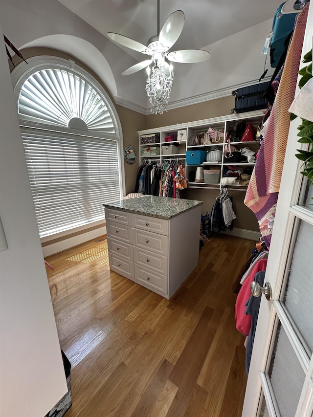 103 Welborn Oaks Way, Anderson, SC 29621 - spacious closet with wood finished floors and ceiling fan