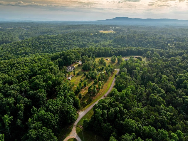 54 Woodall Rd, Greenville, SC 29617 - photo 24