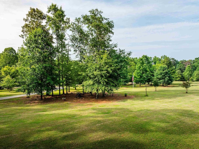 54 Woodall Rd, Greenville, SC 29617 - photo 21
