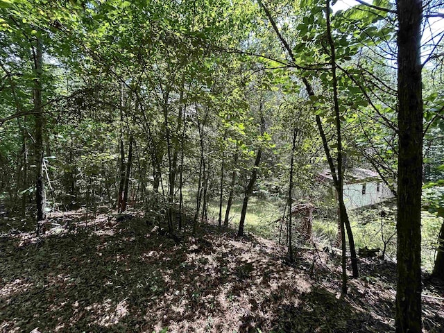 171 Henderson Trl, Chesnee, SC 29323 - photo 6