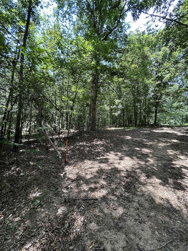 171 Henderson Trl, Chesnee, SC 29323 - photo 5