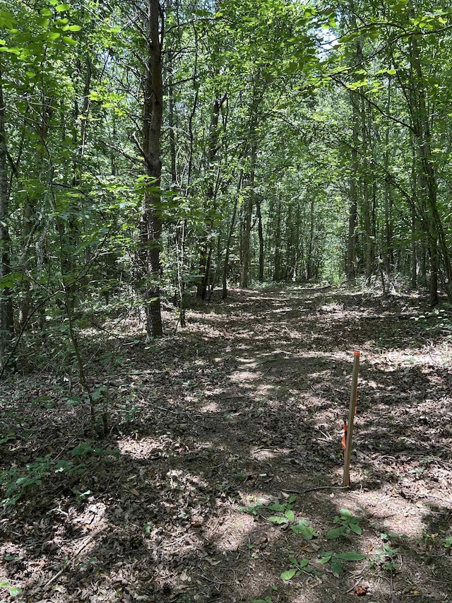 171 Henderson Trl, Chesnee, SC 29323 - photo 4