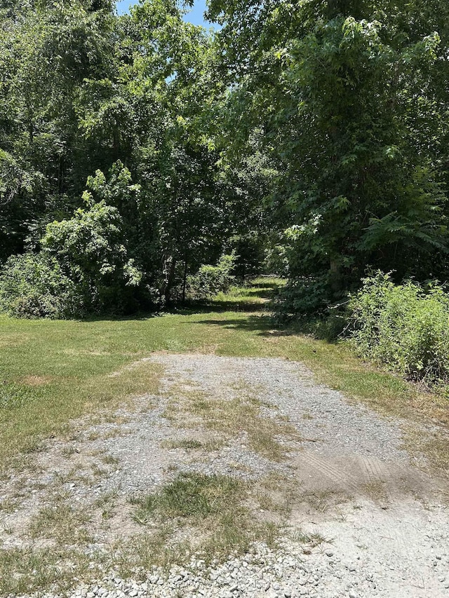 171 Henderson Trl, Chesnee, SC 29323 - photo 1