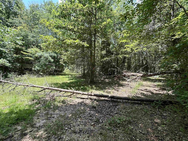 171 Henderson Trl, Chesnee, SC 29323 - photo 3