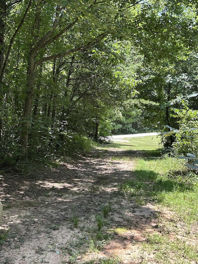 171 Henderson Trl, Chesnee, SC 29323 - photo 2