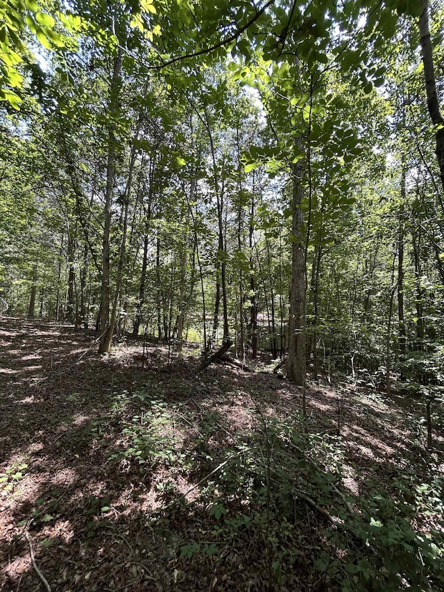 171 Henderson Trl, Chesnee, SC 29323 - photo 10