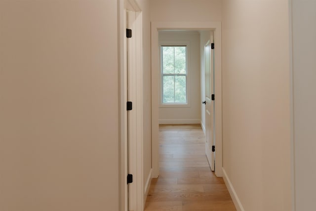305 Meadow Tree Ct, Travelers Rest, SC 29690 - hall featuring light wood-type flooring and baseboards