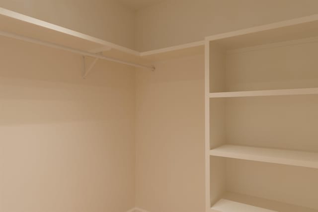 305 Meadow Tree Ct, Travelers Rest, SC 29690 - view of walk in closet